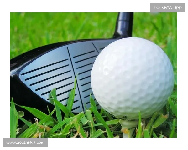 中国高尔夫装备市场增长23%智能球杆渗透率首次突破15%